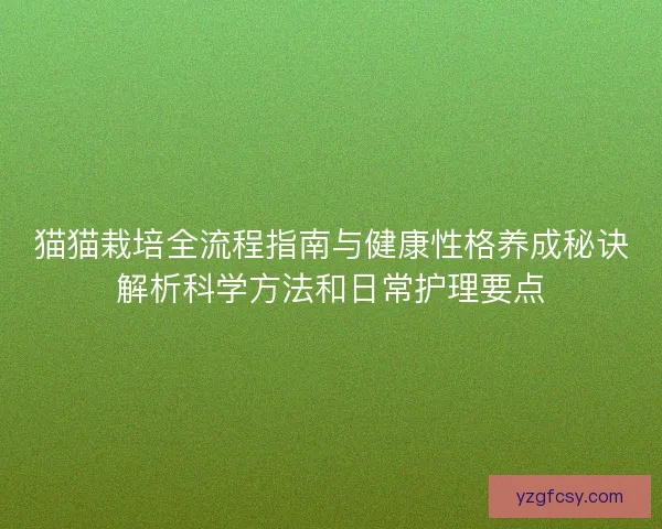 猫猫栽培全流程指南与健康性格养成秘诀解析科学方法和日常护理要点