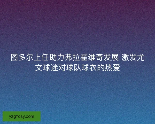 图多尔上任助力弗拉霍维奇发展 激发尤文球迷对球队球衣的热爱
