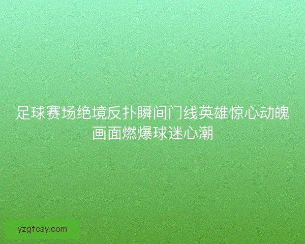 足球赛场绝境反扑瞬间门线英雄惊心动魄画面燃爆球迷心潮