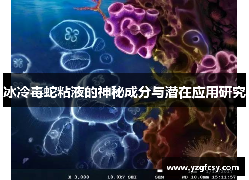 冰冷毒蛇粘液的神秘成分与潜在应用研究